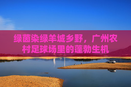 绿茵染绿羊城乡野，广州农村足球场里的蓬勃生机