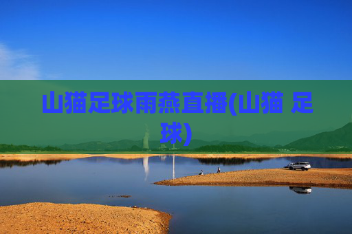山猫足球雨燕直播(山猫 足球)