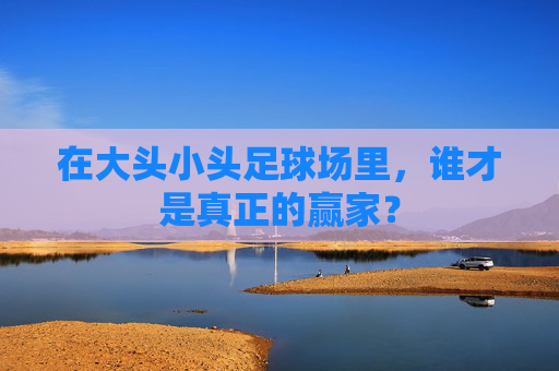 在大头小头足球场里,谁才是真正的赢家?