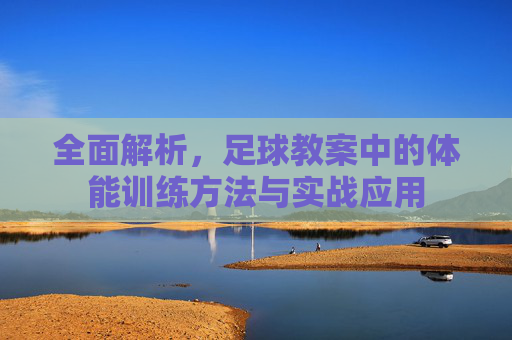 全面解析,足球教案中的体能训练方法与实战应用