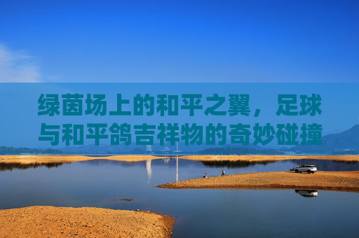 绿茵场上的和平之翼,足球与和平鸽吉祥物的奇妙碰撞