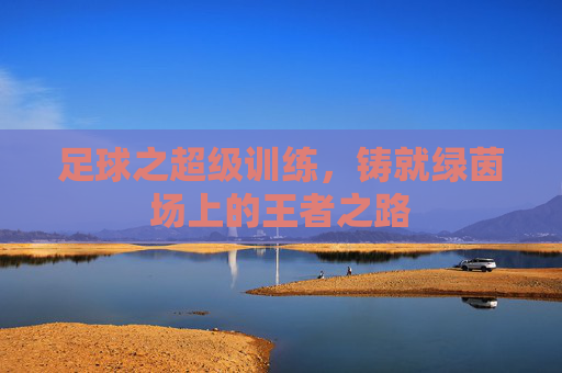 足球之超级训练,铸就绿茵场上的王者之路