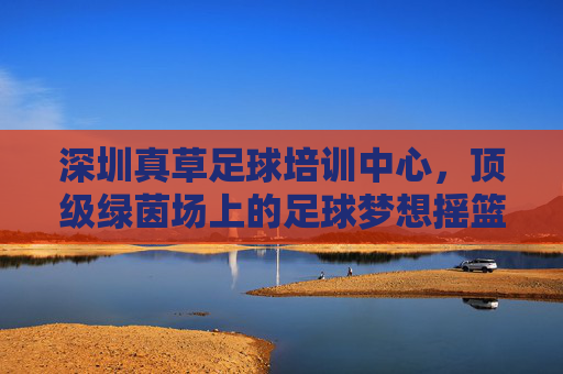 深圳真草足球培训中心,顶级绿茵场上的足球梦想摇篮