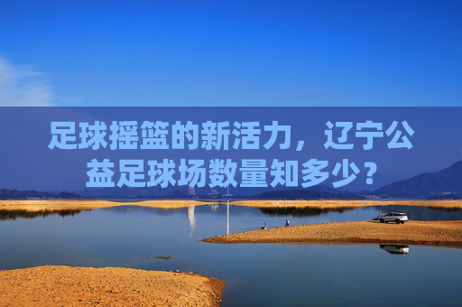 足球摇篮的新活力,辽宁公益足球场数量知多少?