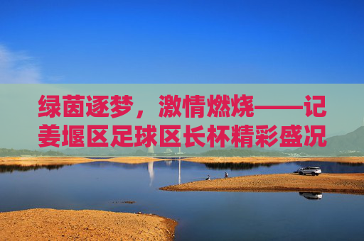 绿茵逐梦,激情燃烧——记姜堰区足球区长杯精彩盛况
