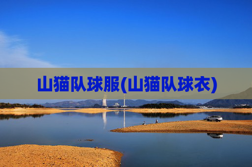 山猫队球服(山猫队球衣)