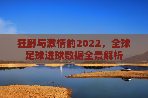 狂野与激情的2022,全球足球进球数据全景解析