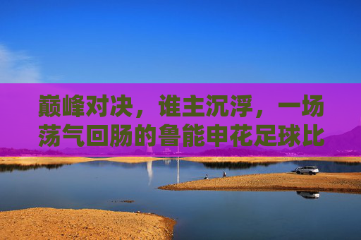 巅峰对决,谁主沉浮,一场荡气回肠的鲁能申花足球比赛