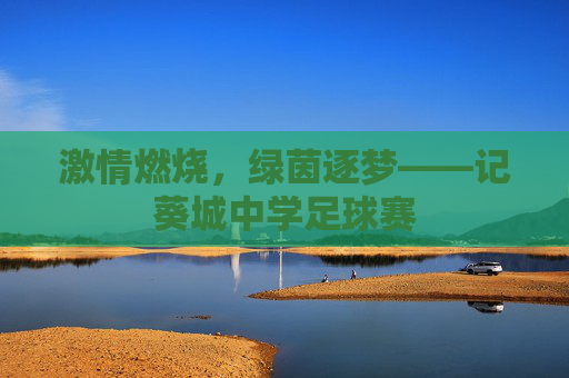 激情燃烧，绿茵逐梦——记葵城中学足球赛