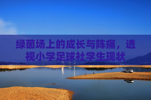 绿茵场上的成长与阵痛,透视小学足球社学生现状