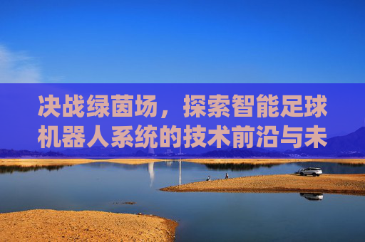 决战绿茵场,探索智能足球机器人系统的技术前沿与未来愿景