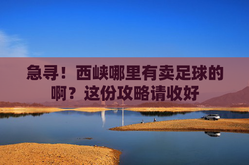 急寻!西峡哪里有卖足球的啊?这份攻略请收好
