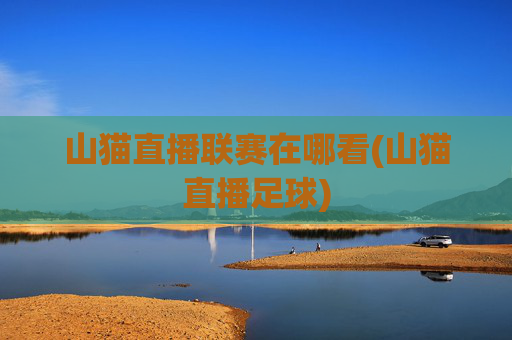 山猫直播联赛在哪看(山猫直播足球)