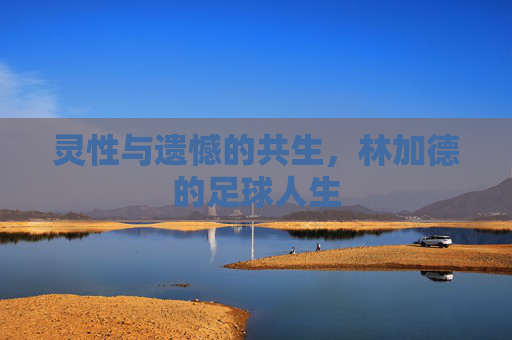 灵性与遗憾的共生,林加德的足球人生