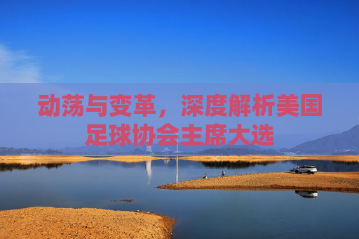 动荡与变革,深度解析美国足球协会主席大选
