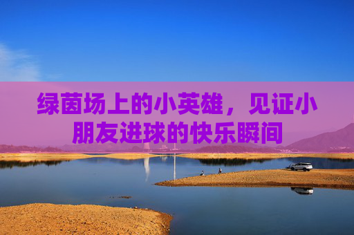 绿茵场上的小英雄,见证小朋友进球的快乐瞬间
