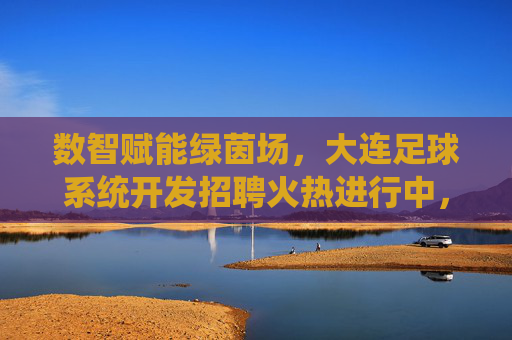 数智赋能绿茵场,大连足球系统开发招聘火热进行中,诚邀精英共创数字足球新纪元