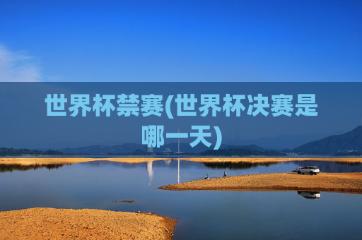 世界杯禁赛(世界杯决赛是哪一天)