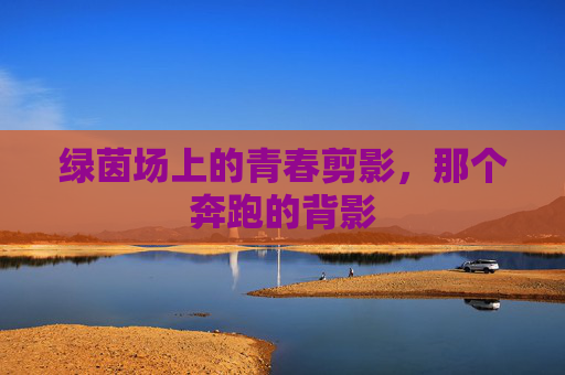 绿茵场上的青春剪影,那个奔跑的背影
