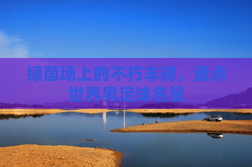 绿茵场上的不朽丰碑,盘点世界男足球名星