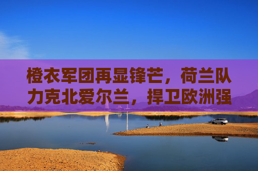 橙衣军团再显锋芒,荷兰队力克北爱尔兰,捍卫欧洲强队尊严