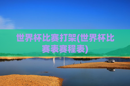 世界杯比赛打架(世界杯比赛表赛程表)