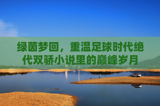 绿茵梦回,重温足球时代绝代双骄小说里的巅峰岁月