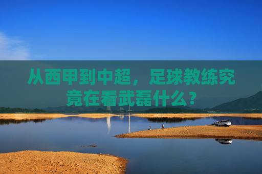 从西甲到中超,足球教练究竟在看武磊什么?