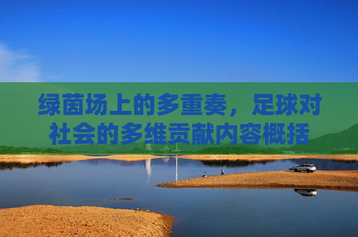 绿茵场上的多重奏,足球对社会的多维贡献内容概括