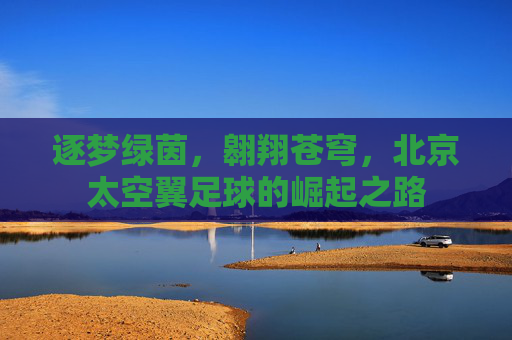逐梦绿茵,翱翔苍穹,北京太空翼足球的崛起之路