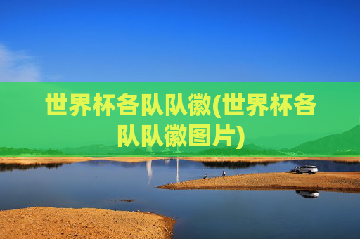 世界杯各队队徽(世界杯各队队徽图片)