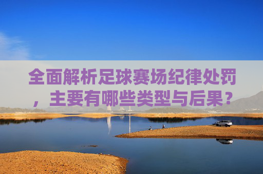 全面解析足球赛场纪律处罚,主要有哪些类型与后果?