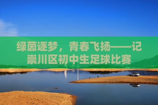 绿茵逐梦,青春飞扬——记崇川区初中生足球比赛