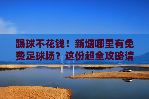 踢球不花钱!新塘哪里有免费足球场?这份超全攻略请收好