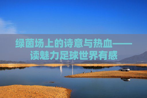 绿茵场上的诗意与热血——读魅力足球世界有感