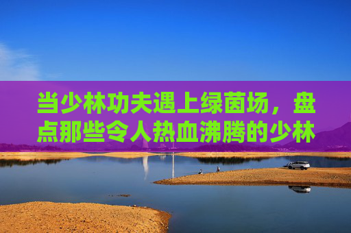 当少林功夫遇上绿茵场,盘点那些令人热血沸腾的少林寺足球明星