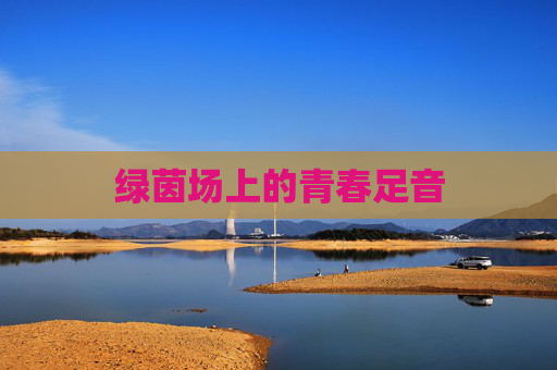 绿茵场上的青春足音