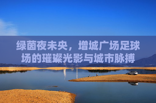 绿茵夜未央,增城广场足球场的璀璨光影与城市脉搏