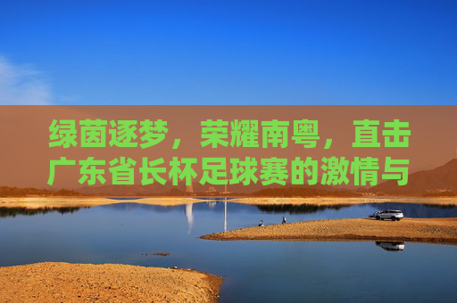 绿茵逐梦,荣耀南粤,直击广东省长杯足球赛的激情与荣光