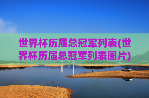 世界杯历届总冠军列表(世界杯历届总冠军列表图片)