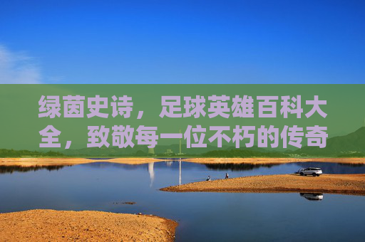 绿茵史诗,足球英雄百科大全,致敬每一位不朽的传奇