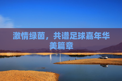 激情绿茵,共谱足球嘉年华美篇章