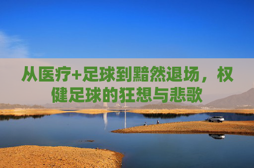 从医疗+足球到黯然退场,权健足球的狂想与悲歌