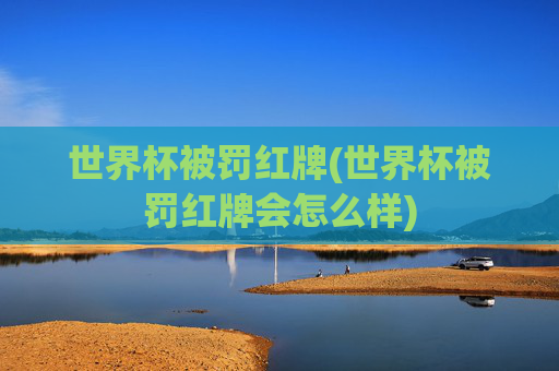 世界杯被罚红牌(世界杯被罚红牌会怎么样)