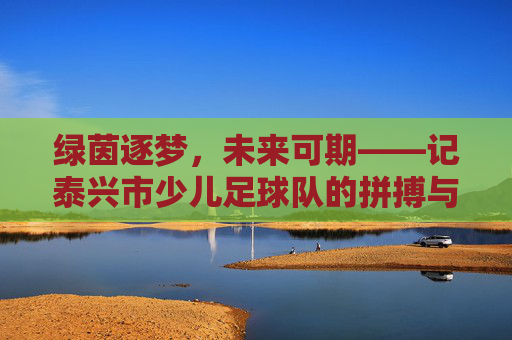 绿茵逐梦,未来可期——记泰兴市少儿足球队的拼搏与成长