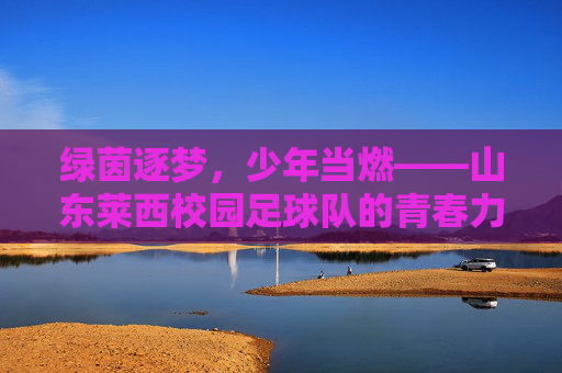 绿茵逐梦,少年当燃——山东莱西校园足球队的青春力量