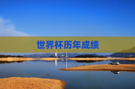 世界杯历年成绩
