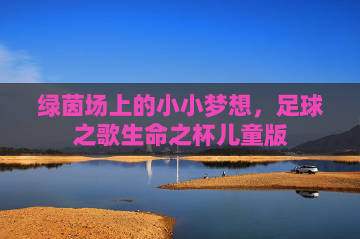 绿茵场上的小小梦想,足球之歌生命之杯儿童版