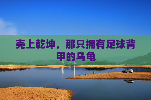 壳上乾坤,那只拥有足球背甲的乌龟