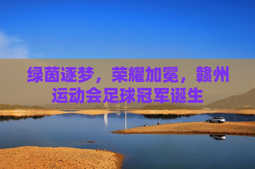 绿茵逐梦,荣耀加冕,赣州运动会足球冠军诞生